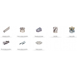 FRAISAGE MONOBLOC INDEXABLE